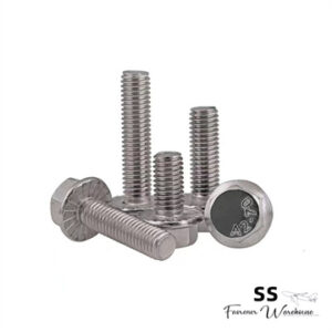 Hexagon Flange Bolts-DIN6921