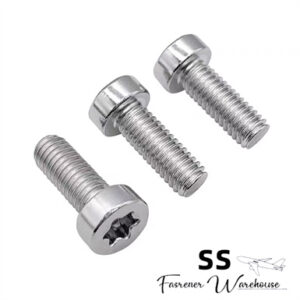 Hexalobular Socket Cheese Head Screws-ISO14580