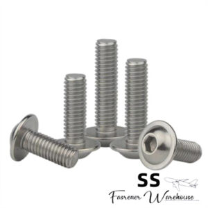 Hexagon Socket Button Head Screws With Collar-ISO7380-2